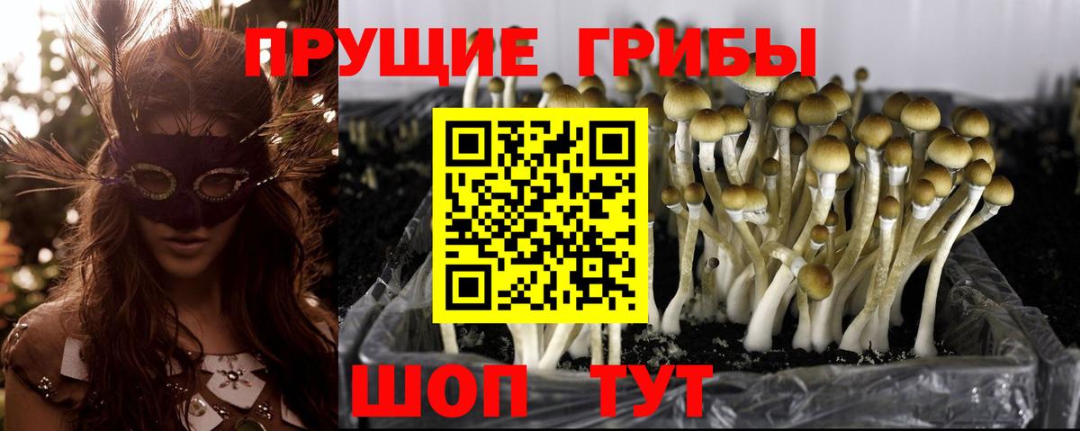 Псилоцибиновые грибы ЛСД Нарткала